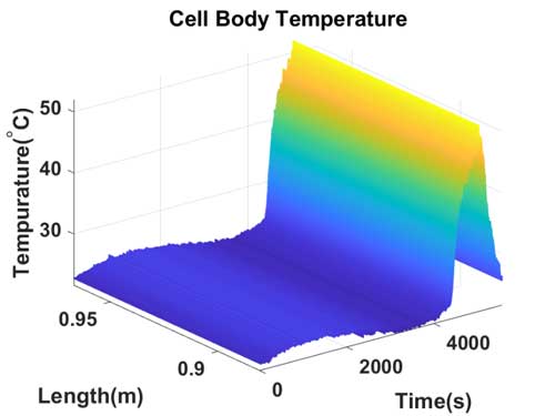 Cell Body Temperature